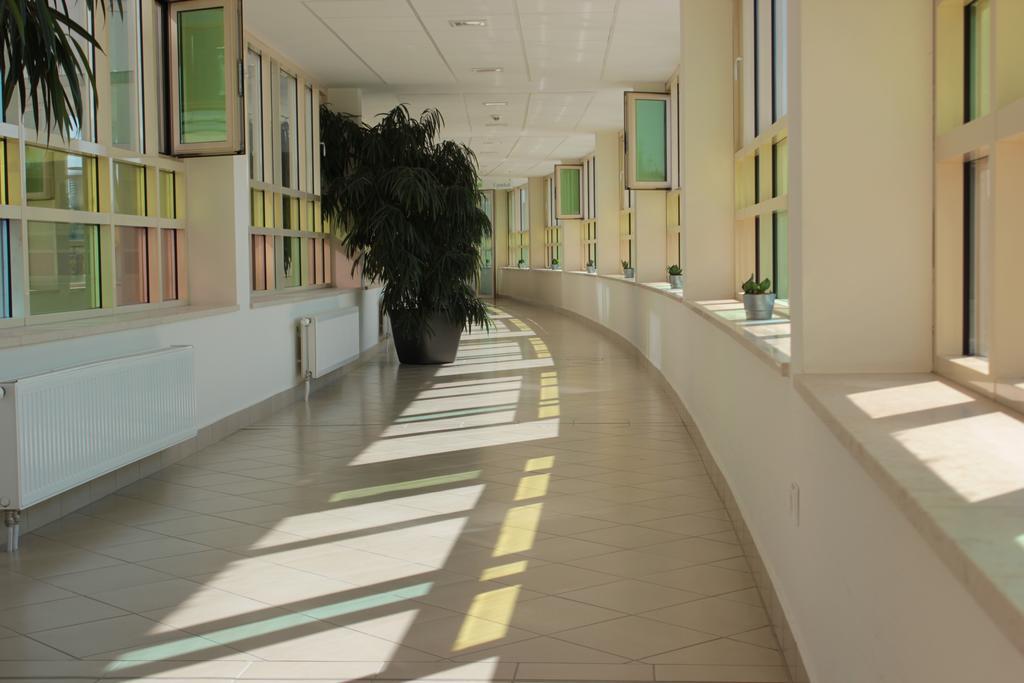 Wellness Apartments In Velence Eksteriør billede