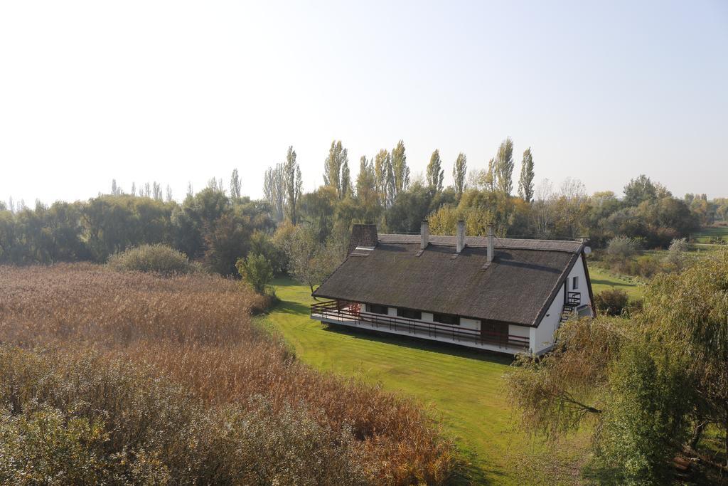 Wellness Apartments In Velence Eksteriør billede